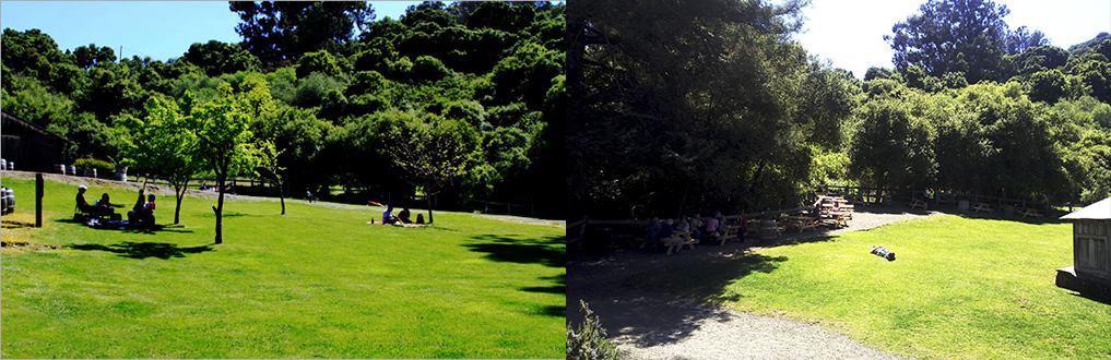 Picnic and Grounds at Picchetti Winery